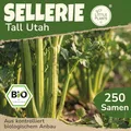 Little Plants BIO Sellerie Samen 250 Selleriesamen Tall Utah Stangensellerie Gemüsesamen Gemüsesaatgut Samenfest für Gemüsegarten, Hochbeet, Küche, Balkon und Garten