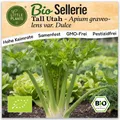 Sellerie Samen (BIO) - 250 Samen Gemüsesamen Stangensellerie-Samen Tall Utah