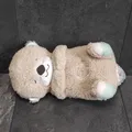Fisher-Price Schlummer Otter Baby-Spieluhr Plüsch Musik Einschlafhilfe