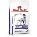 13 kg Royal Canin Expert Dental Medium & Large Dogs