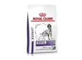 ROYAL CANIN Expert Dental Medium & Large Dogs 13 kg