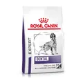 Hundefutter Veterinary Dog Dental Royal Canin
