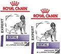 Royal Canin Expert DENTAL - 2 x 13 kg (€ 6,40/kg) MEDIUM & LARGE Dogs - trocken