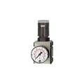 Riegler Druckregler »FUTURA« inkl. Manometer BG 1 G 1/4 0,1 - 2 bar