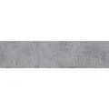 BARIDECOR AQUA Wandpaneel, Concrete, BxL: 300 x 1200 mm - grau