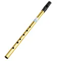 Irische Pfeife Penny Whistle Tin Whistle Irish Whistle Schlüssel D Messing