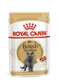 FBN Wet British Shorthair 85gr (12uds)