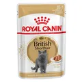 Royal Canin Breed British Shorthair Adult 85 g, Katzenfutter, UVP 1,80 EUR, NEU