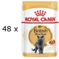 Royal Canin British Shorthair Adult - 48 x 85 g (€17,14/kg) in Soße - Nassfutter