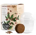 HappySeed Blumensamen Der eigene Zwergkaffee zum Pflanzen - Anzuchtset von Kaffeebohnen, Saatgut