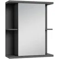 Mid.you Spiegelschrank Nebraska, Anthrazit, Metall, 2 Fächer, 60x70x25 cm, FSC Mix, Typenauswahl, individuell planbar, Badezimmer, Badezimmerspiegel, Spiegelschränke