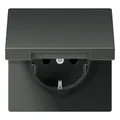 Jung SCHUKO Steckdose AL 1521 KL AN Abdeckung Stecker Steckdosen AL1521KLAN
