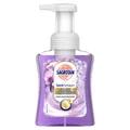 Sagrotan Samt-Schaum Seife Vanille & Orchidee 250ml Schaumhandseife mit Duft DE