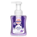 Sagrotan Samt-Schaum Cremige Vanille und Orchidee, 250 ml