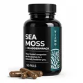 Irish Sea Moss Kapseln 1500mg Tagesdosis, 90 Kapseln - Natürliches Irisches Seemoos & Blasentang, Chondrus Crispus - Frei von Magnesiumstearat, Vegan, Ohne Zusatzstoffe - Nahrungsergänzungsmittel