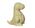 Sass & Belle Spardose Dino, (Dolomit Grün, 1-tlg., ca. 10 x 12 cm), Dinosaurier Kinder Geld Dose T-Rex