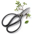 Scharfe Bonsai Schere aus Stahl - Traditionelles Bonsai Werkzeug für eine professionelle Bonsai-Zucht - ideal für Knospen, Blätter & Äste
