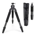 Rollei Rock Solid Alpha Mark III, 166cm Kamera Stativ aus Kohlefaser Professionelles Dreibeinstativ für Schwere Kamera 30kg Tragkraft Carbon Fotostativ mit Kugelkopf, Camera-Stativ-Carbon-Tripod