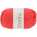 LANA GROSSA Meilenweit 100 Merino extrafine | Hochwertiges Sockengarn, waschmaschinenfest | Handstrickgarn aus 75% Schurwolle & 25% Polyamid | 100g Wolle, Stricken & Häkeln | 420m Garn FB2405