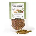 Mehlwürmer 40g - essbare Insekten von 'SNACK insects' - Insekten zum Essen