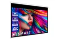 ESMART ESMART Germany Rollo Leinwand Rolloleinwand (Professional MIROLO)