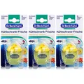 Dr. Beckmann Kühlschrank Frische Limone | Absorbiert Gerüche, schützt Aromen | mit natürlichem Limonenextrakt & Bio Alkohol | 3er Pack(3 x 40 g)