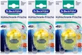Dr. Beckmann Dr. Beckmann Kühlschrank Frische Limone 3er Pack (3 x 40 g) Allzweckreiniger (3-St)
