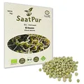 1Kg BIO Keimsprossen Erbse Mikrogreen Sprossen Keimling Mikrogrün Sprossenanzucht Keimsaat