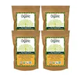 Radico Haarkur-Mix 100g (bio, vegan) Reinigung Pflege Kämmbarkeit