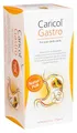 Caricol Gastro Sticks, 20 St. Beutel