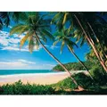 Papermoon Fototapete Palmbeach, glatt bunt 3,5 m x 2,6 m