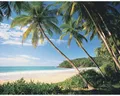 Fototapete Vlies 18306 Palmbeach 7-tlg. 350 x 260 cm