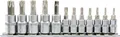 Torx Steckschlüssel Einsatz 12tlg CrV Nuss Bit Satz Yato T8-T55 1/4 3/8 Bohrung