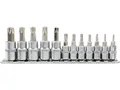 Yato Biteinsatz Satz 12 tlg TORX Security T8- T56 YT-04332