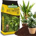 ERDE FÜR PALMEN YUCCA DRACAENA 5L SUBSTRAT FÜR GRÜNPFLANZEN MIT BIOVITA DÜNGER
