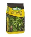 Biovita Erde für Palmen, Yuk & Drachenbäume 5L für Palmen & Tropische Pflanzen