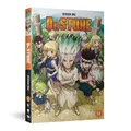 Dr. Stone - Season 1 Complete [DVD]