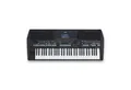 Yamaha Home-Keyboard Yamaha PSR-SX600