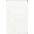 Easyfix Rollo Mit Blättern Weiß 75 X 150 Cm - Gardinia