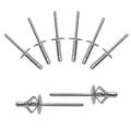 BESTYCHAO 60pcs Tri-Fold Exploding Pop Niet Aluminium großen Flansch Nieten - Silber (4,8x25mm)