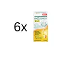 ANGINETTEN Halsspray 2in1 Erw. 6 x 20 ml   PZN 08300130
