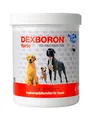 DEXBORON FORTE Hund 150 Kautabletten – Gelenke, Bewegung & Wohlbefinden