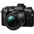 OM System OM-5 Mark II M.Zuiko Digital ED 14-150mm F4.0-5.6 II OM (14 - 150 mm, 20.40 Mpx, 4/3) (V210072BU000)