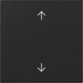Gira Wippe Pfeile System 55 Schwarz m 3616005