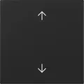 Gira 3616005 Wippe mit Bedruckung Pfeilsymbole, System 55, schwarz matt