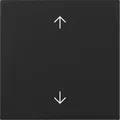 Gira 3616005 Wippe mit Bedruckung Pfeilsymbole System 55 Schwarz matt
