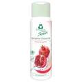 Frosch Senses Duschgel Granatapfel 300ml
