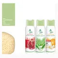 (1L|22,22€) 4tlg. Frosch Duschcreme Aloe Vera Orange Granat | vegan + Schwamm