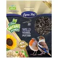 Lyra Pet® | 20 kg Sonnenblumenkerne Schwarz | Wildvogelfutter Ganzjährig | Ideal für Kleine Vögel | Vogelfutter für Gartenvögel | Mit Höchstem Ölgehalt | Spendet Energie im Sommer und Winter