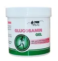 GLUCOSAMIN GEL 250ml mit ätherischen Ölen Körpercreme Hautpflege Haut Creme 56